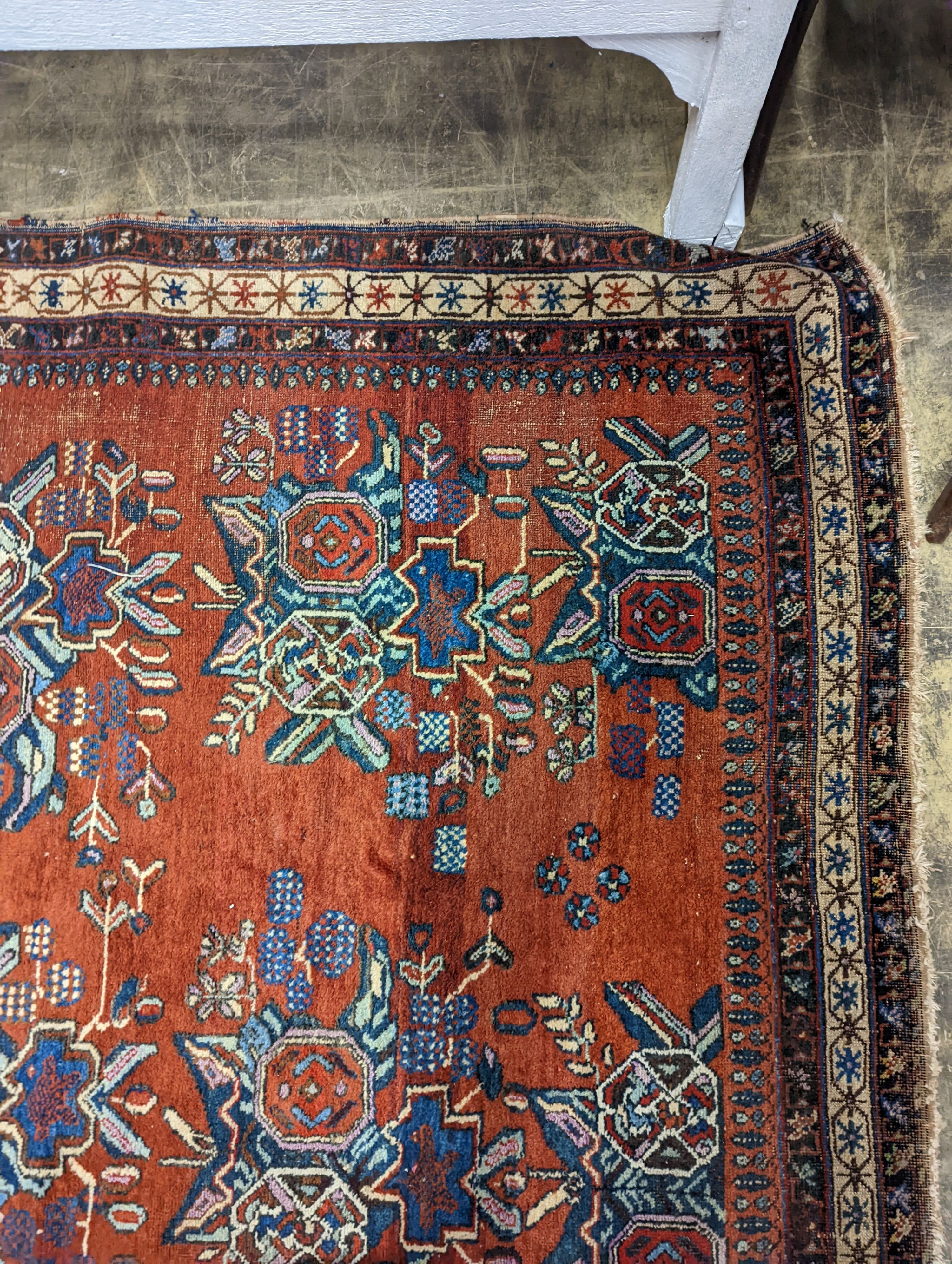 A North West Persian red ground rug with stylised foliate motifs, 185 x 157cm
